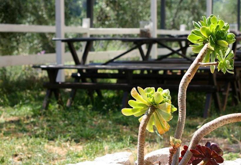 Agriturismo Affittacamere Atlhos Vieste