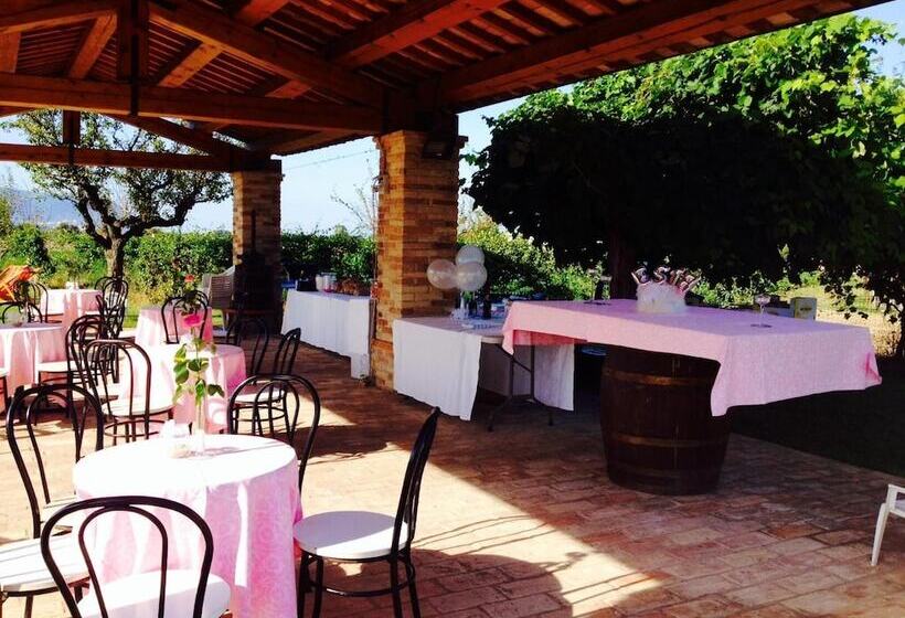 Bed and Breakfast Casale Papa