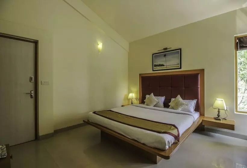 Shangrila Revive