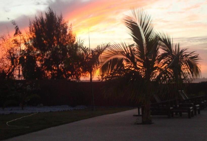 تختخواب و صبحانه Le Clos Des Oliviers