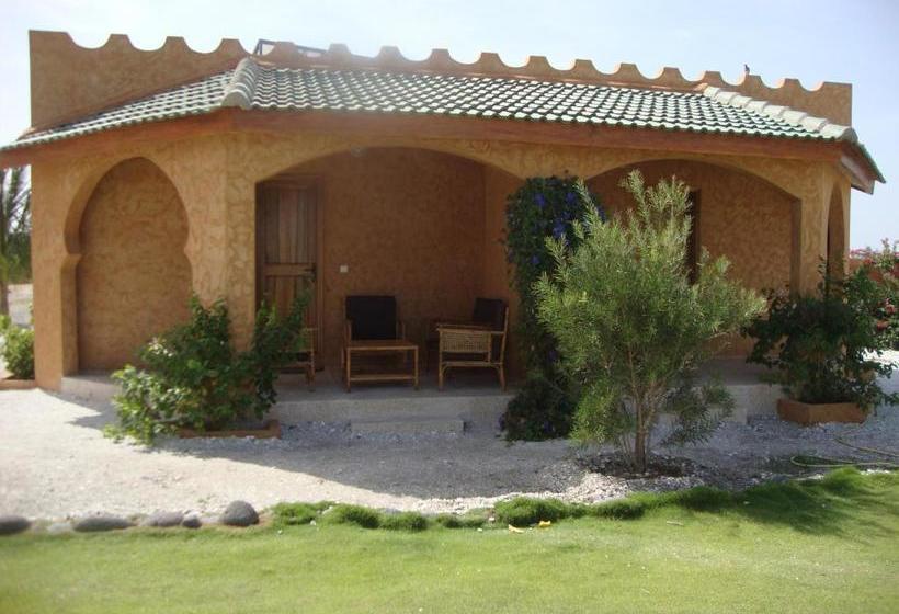 تختخواب و صبحانه Le Clos Des Oliviers