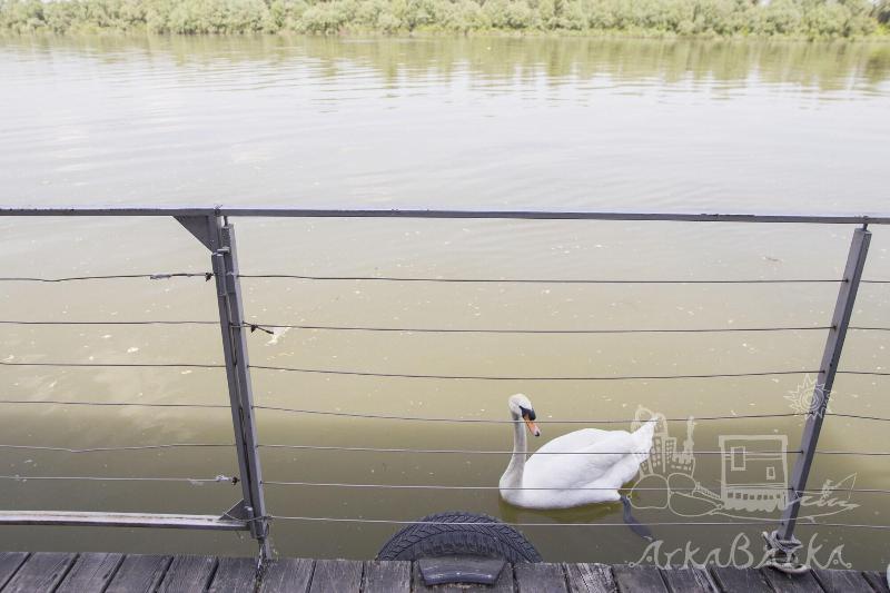 旅馆 Arkabarka 2  Floating Dream Rooms And Apartments