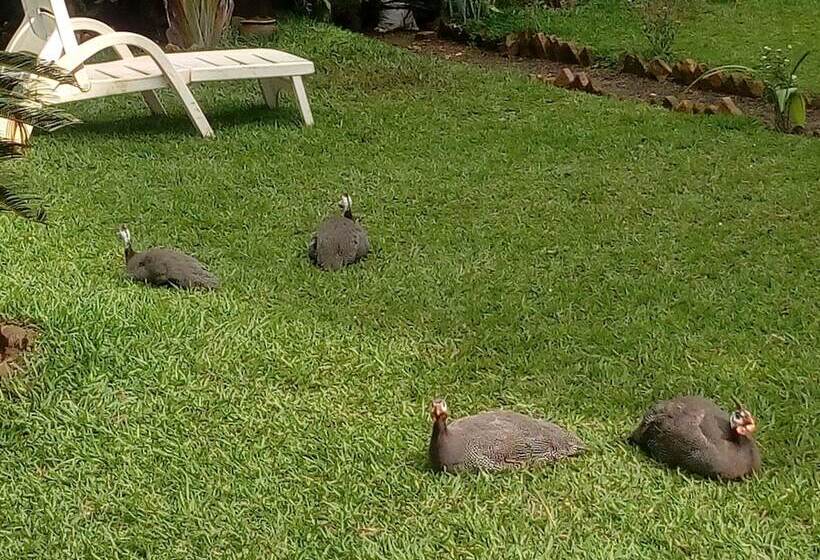 تختخواب و صبحانه Beach Garden Bnb