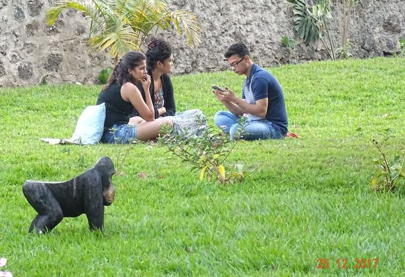 تختخواب و صبحانه Beach Garden Bnb