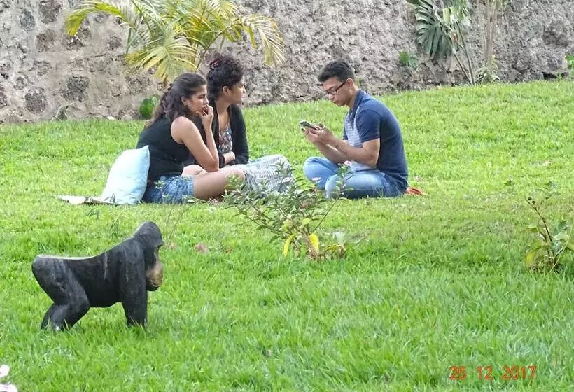 تختخواب و صبحانه Beach Garden Bnb