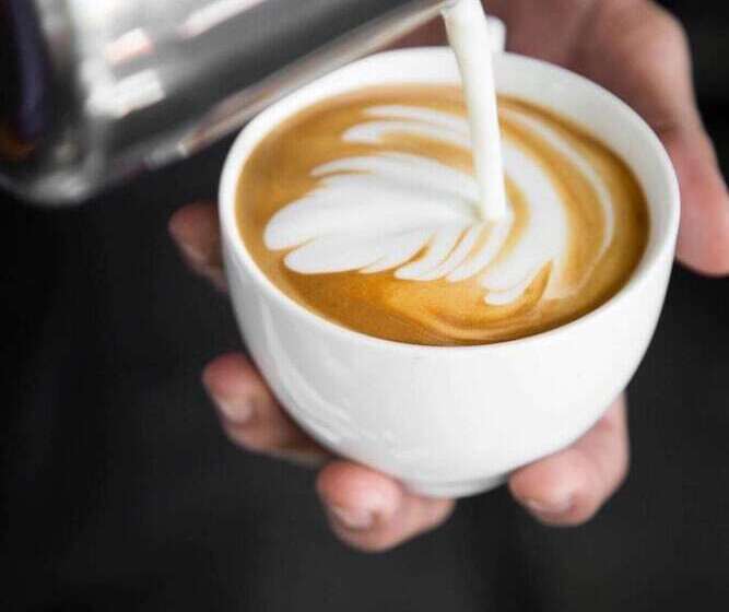 E Just Hotel Borg El Arab