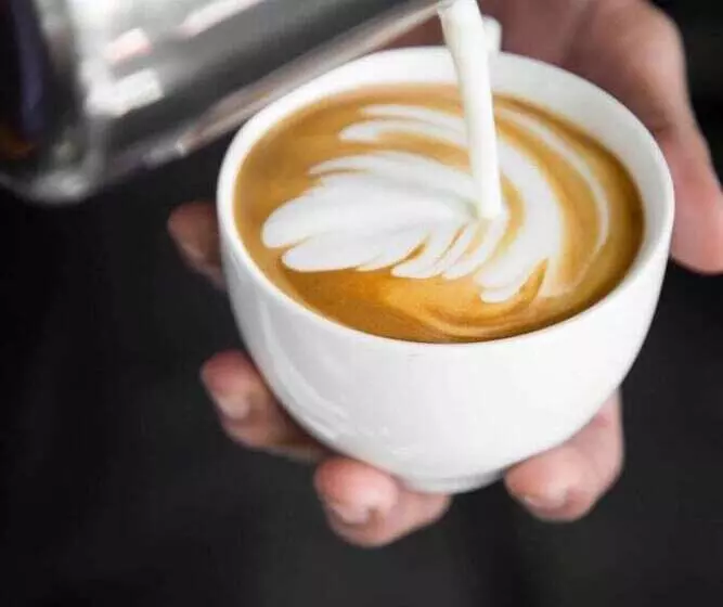 E Just Hotel Borg El Arab