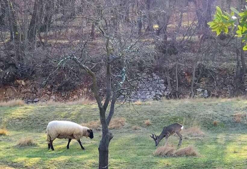 בית מלון כפרי Agriturismo Radovic