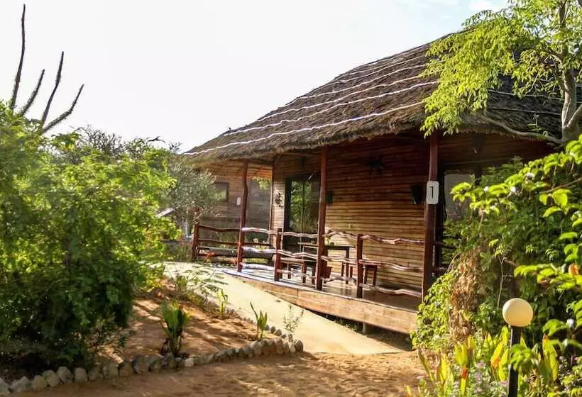 هتل Solidaire Mangily