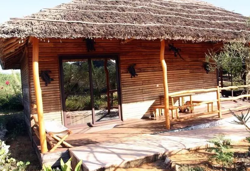 هتل Solidaire Mangily