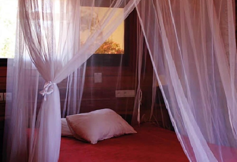 هتل Solidaire Mangily