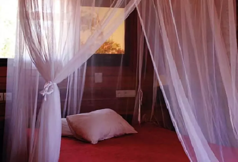 هتل Solidaire Mangily