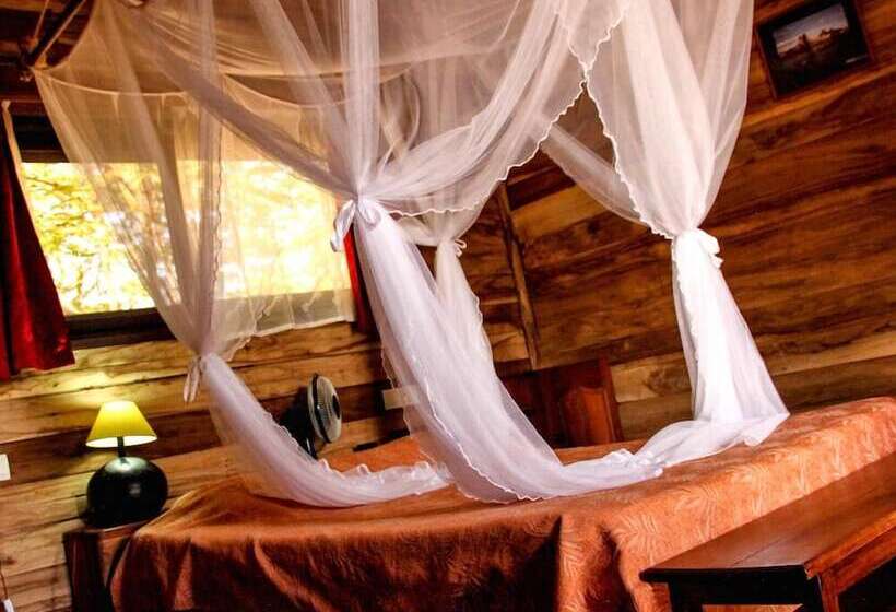 هتل Solidaire Mangily