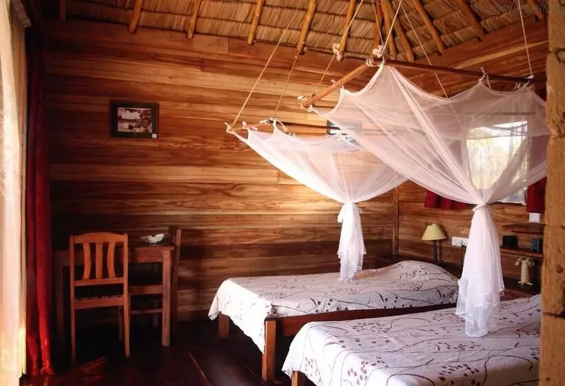 هتل Solidaire Mangily