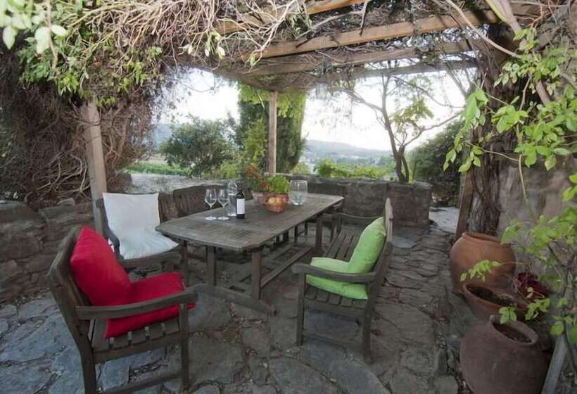 فندق ريفى Celler Colltor