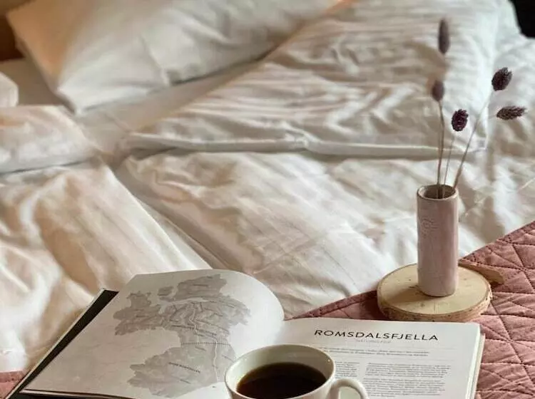 Hotelli Frichs Ekspress åndalsnes