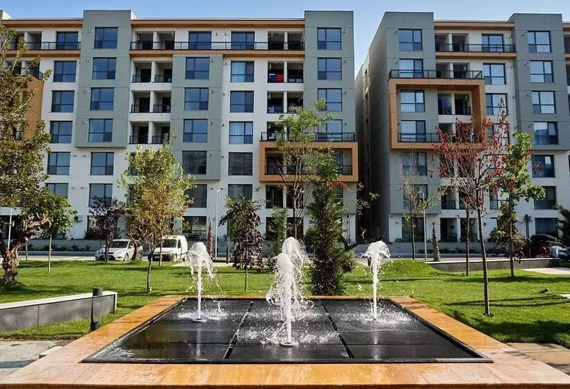 Onix Mamaia