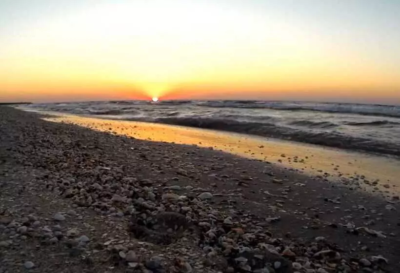 Onix Mamaia