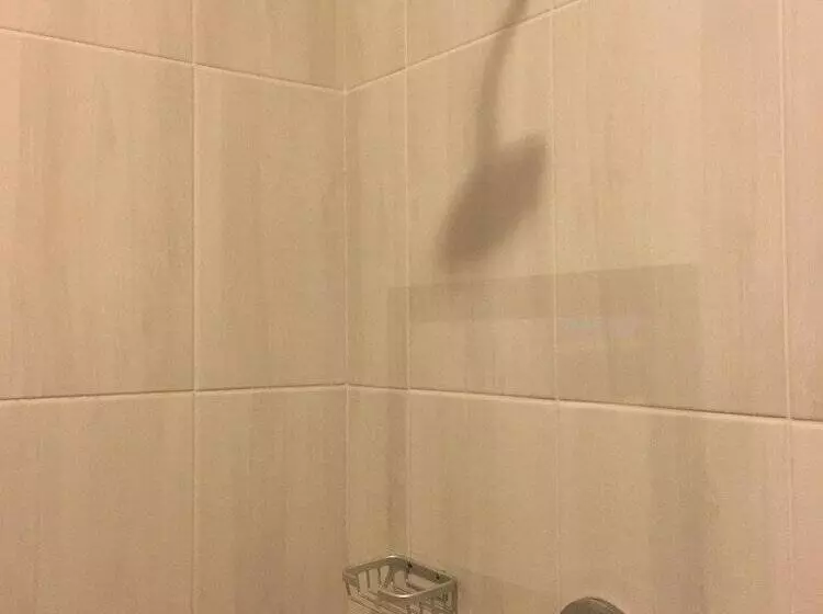 پانسیون Flower Inn Guest House