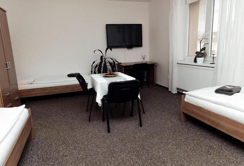 Pensionat Penzion Vermon