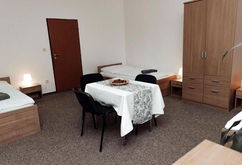 Pensionat Penzion Vermon