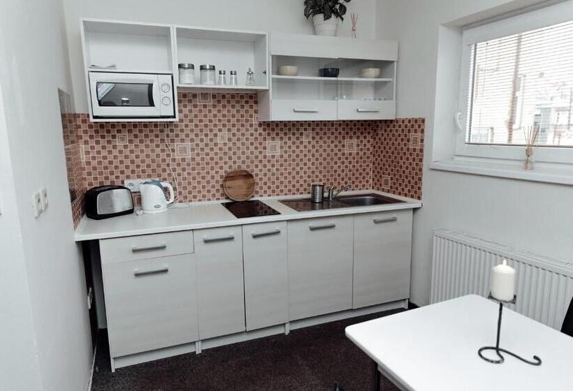 Pensionat Penzion Vermon