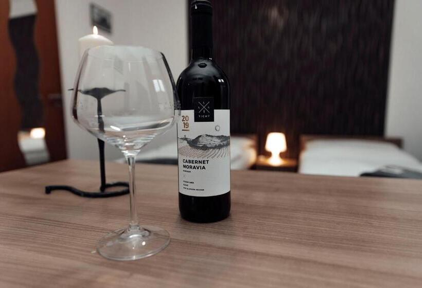 Pensionat Penzion Vermon