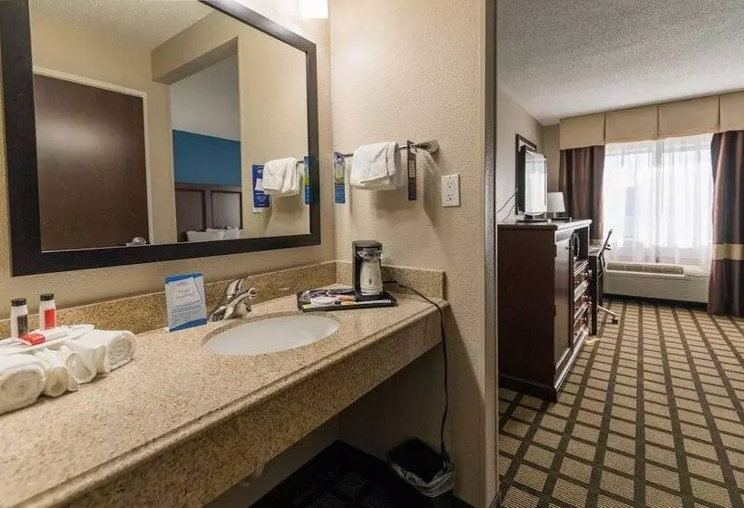 Baymont By Wyndham Detroit Airport/romulus