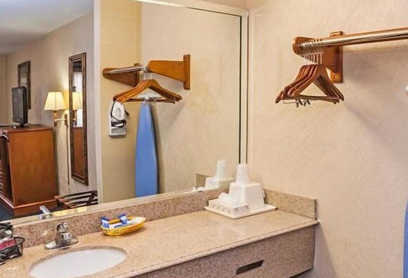 酒店 Downtowner Inn And Suites Hobby