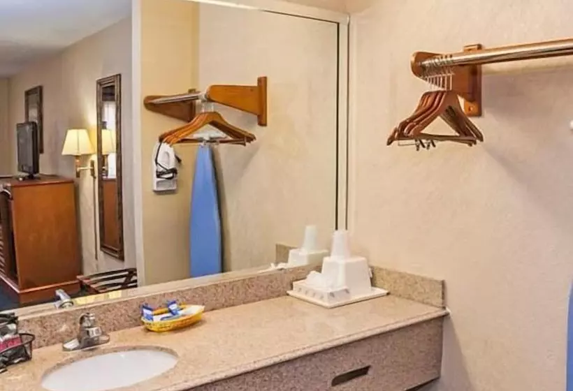 בית מלון כפרי Downtowner Inn And Suites Hobby