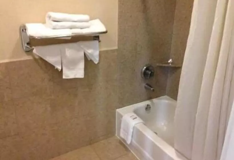 בית מלון כפרי Downtowner Inn And Suites Hobby