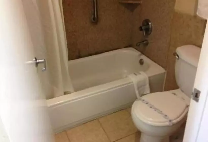 בית מלון כפרי Downtowner Inn And Suites Hobby