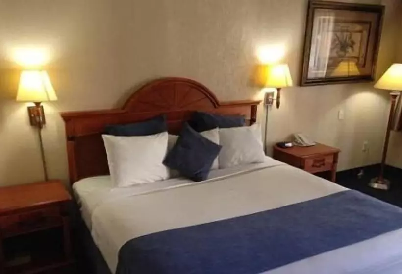 בית מלון כפרי Downtowner Inn And Suites Hobby