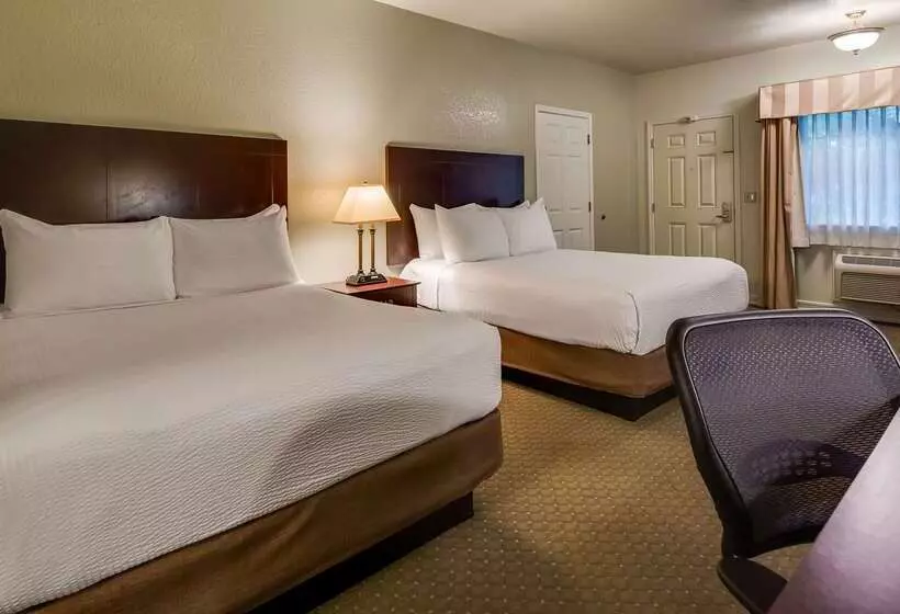 酒店 Best Western Plus Bayshore Inn