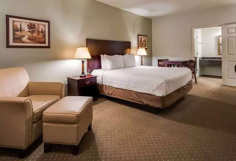 酒店 Best Western Plus Bayshore Inn