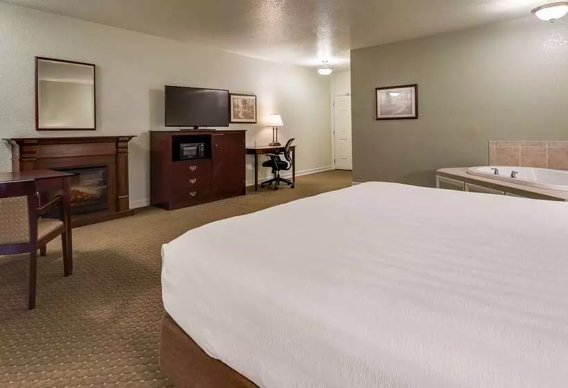 酒店 Best Western Plus Bayshore Inn