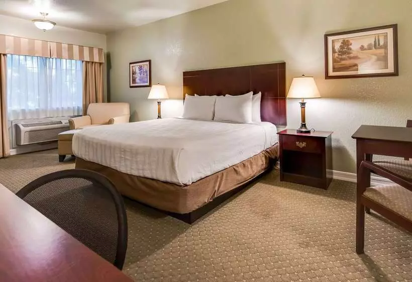 酒店 Best Western Plus Bayshore Inn