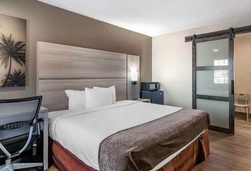 فندق Best Western The Oasis At Joplin