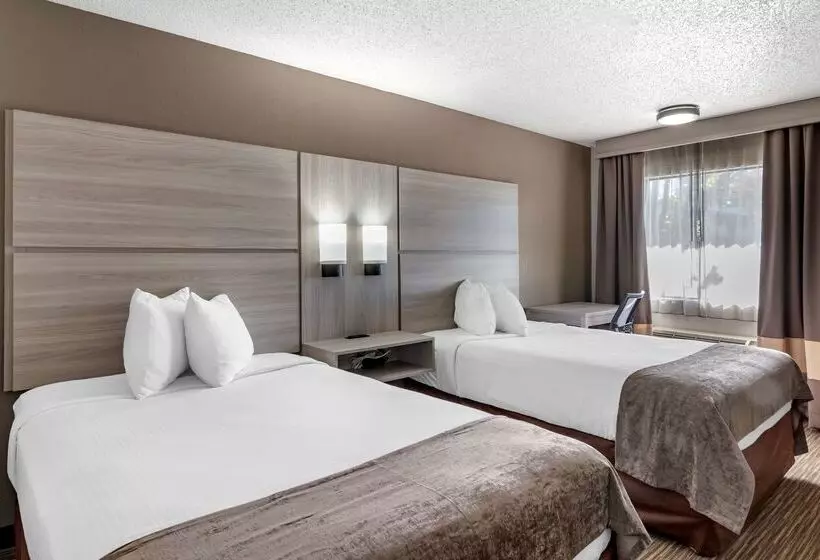 فندق Best Western The Oasis At Joplin