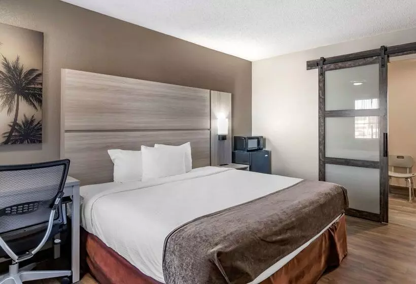 فندق Best Western The Oasis At Joplin