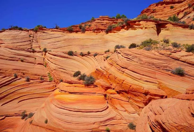هتل Best Western View Of Lake Powell