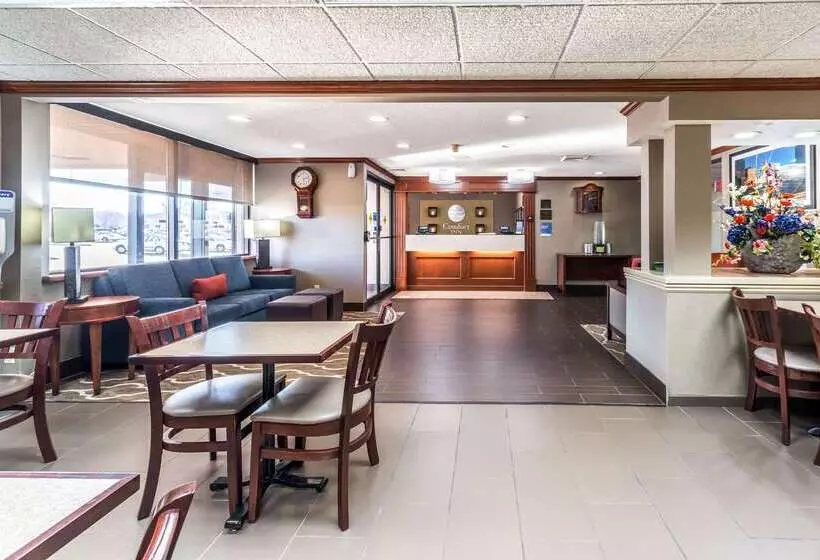 בית מלון כפרי Comfort Inn Festusst. Louis South