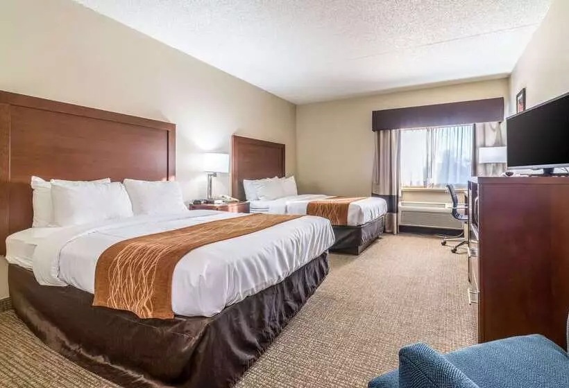 בית מלון כפרי Comfort Inn Festusst. Louis South