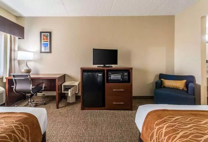 בית מלון כפרי Comfort Inn Festusst. Louis South