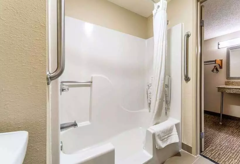 בית מלון כפרי Comfort Inn Festusst. Louis South