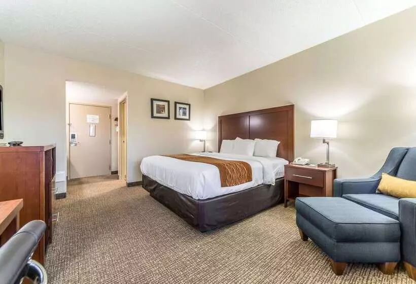 בית מלון כפרי Comfort Inn Festusst. Louis South