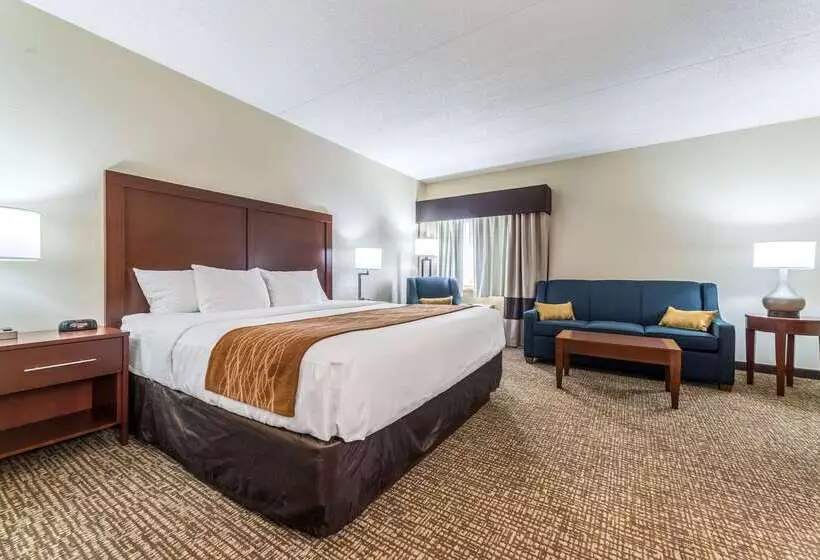 בית מלון כפרי Comfort Inn Festusst. Louis South