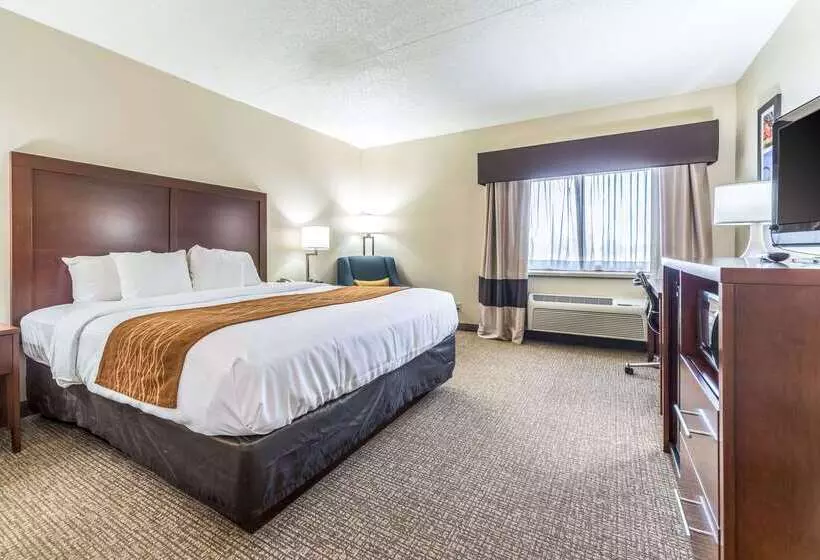בית מלון כפרי Comfort Inn Festusst. Louis South