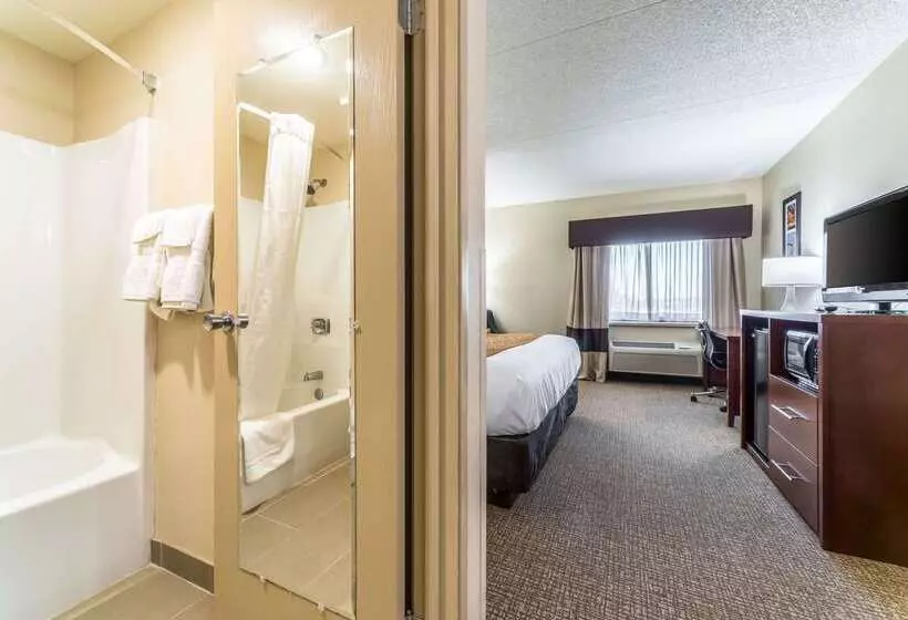 בית מלון כפרי Comfort Inn Festusst. Louis South