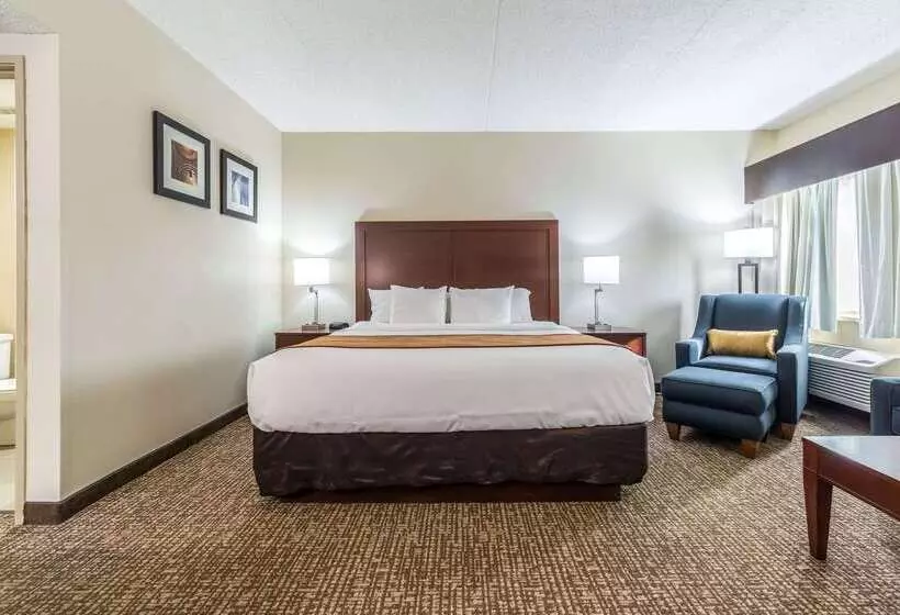 בית מלון כפרי Comfort Inn Festusst. Louis South